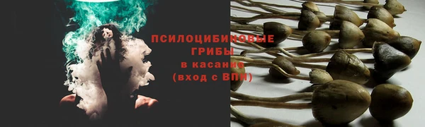 прущая мука Абдулино
