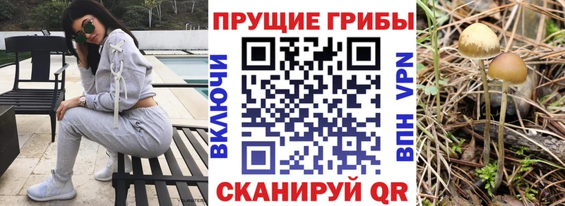 ОМГ ОМГ ТОР  Соликамск  Галлюциногенные грибы прущие грибы  что такое наркотик 